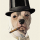 Illustration for article titled Top hat-sporting dog aristocrats get their own terrifying film